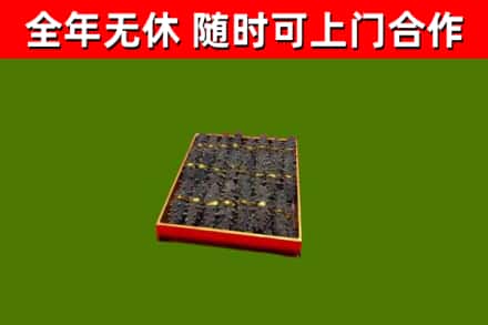 平谷区回收海参
